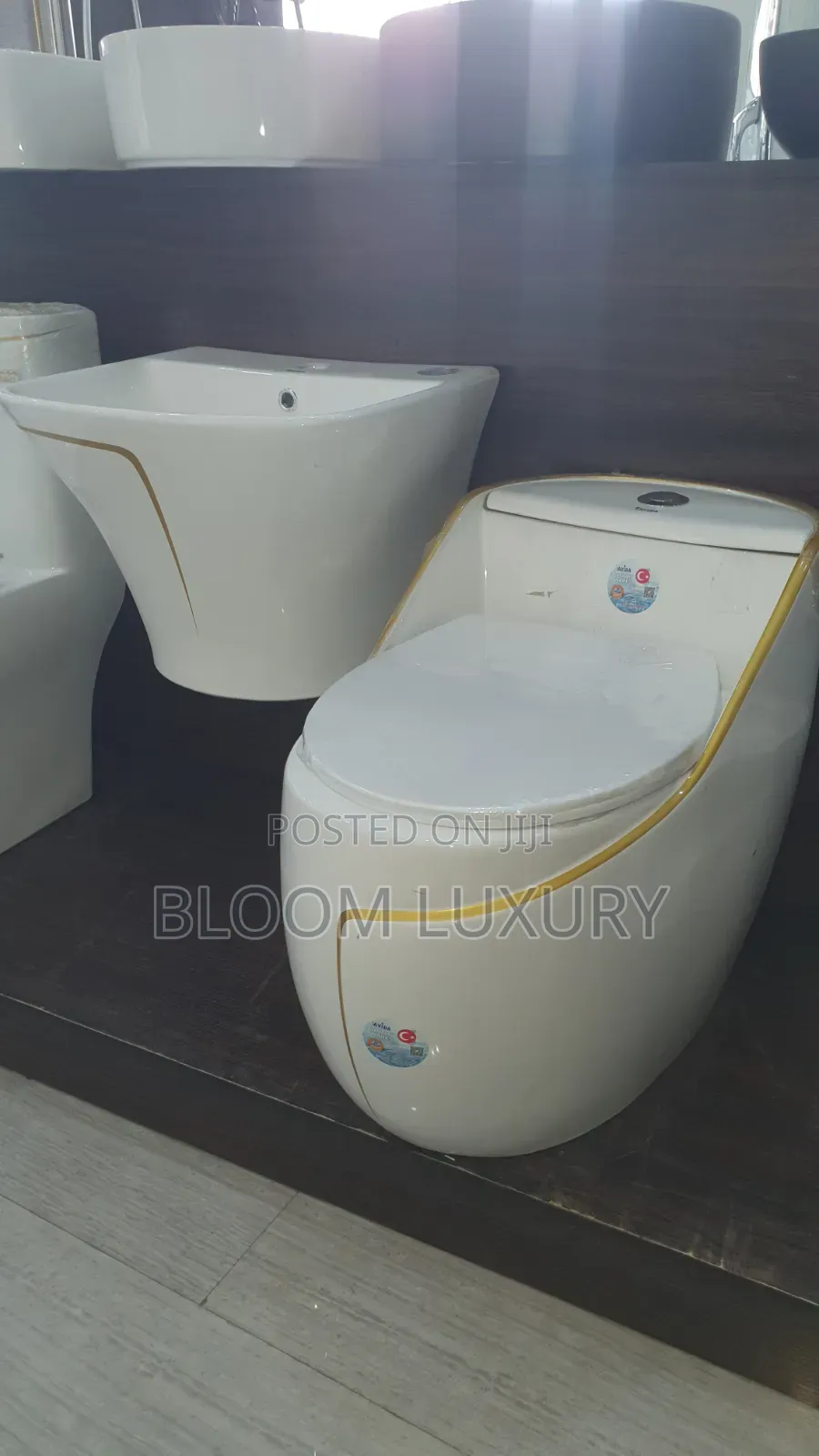 White+Gold Line Water Closet With Wall Hung Basin