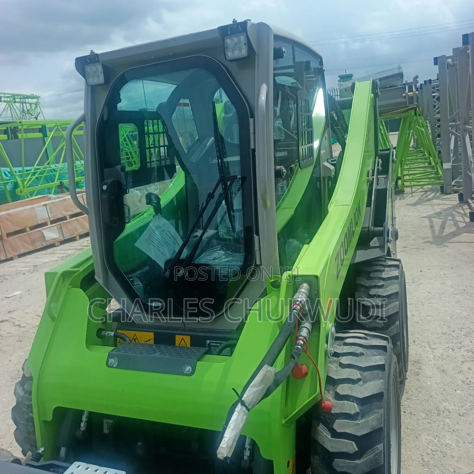 Zoom Lion Bobcat Brand New