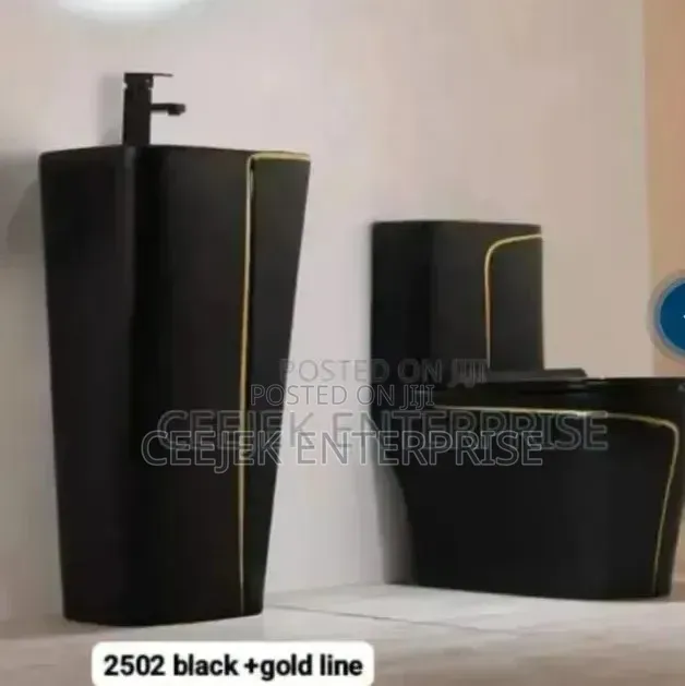 Luxury Black Water Closet With Wall Hung Basin