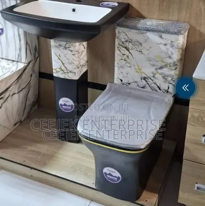Luxury Design Water Closet