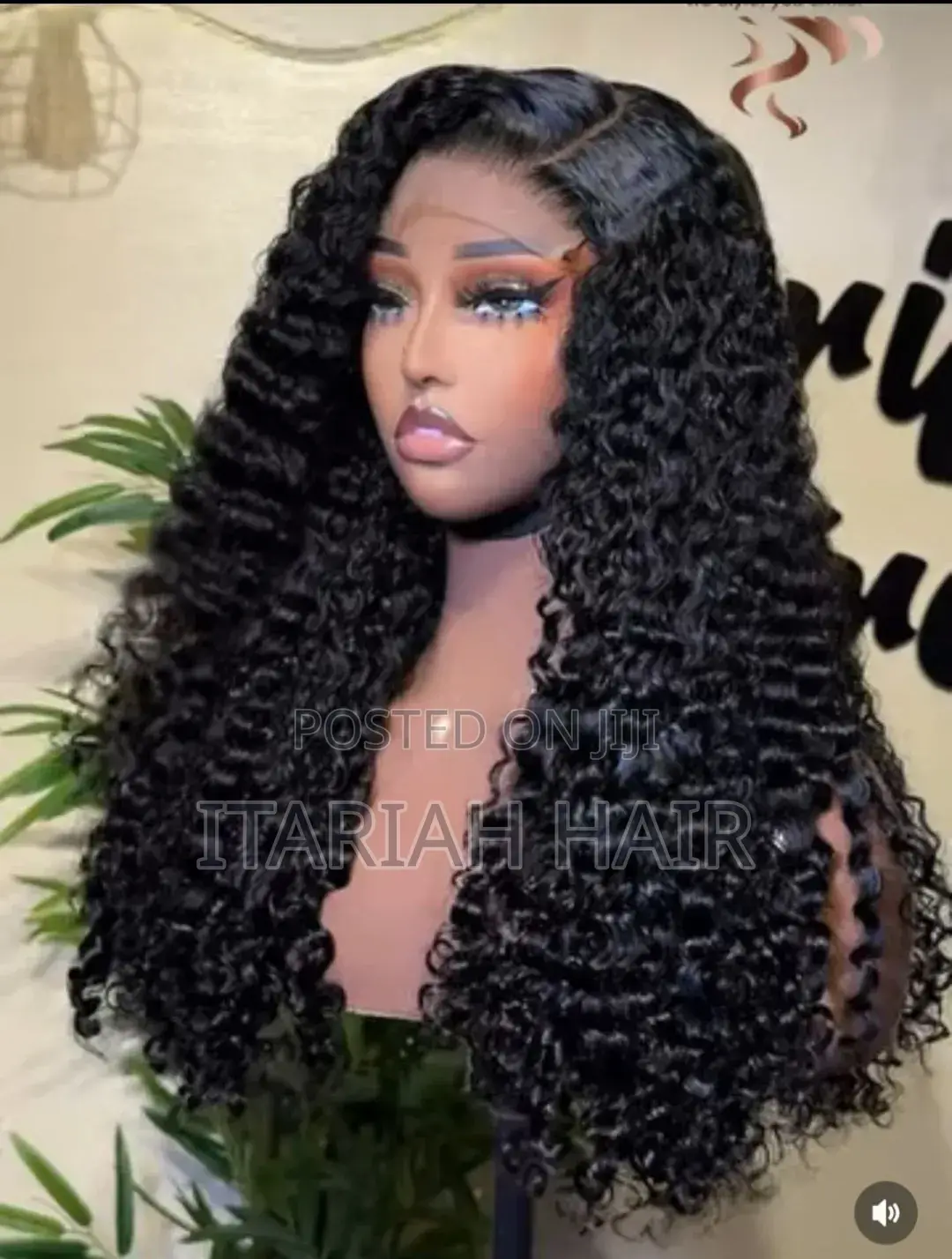 Wigs and Hair Accessories
