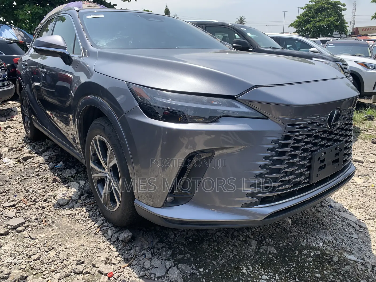 Lexus RX 2024 Gray