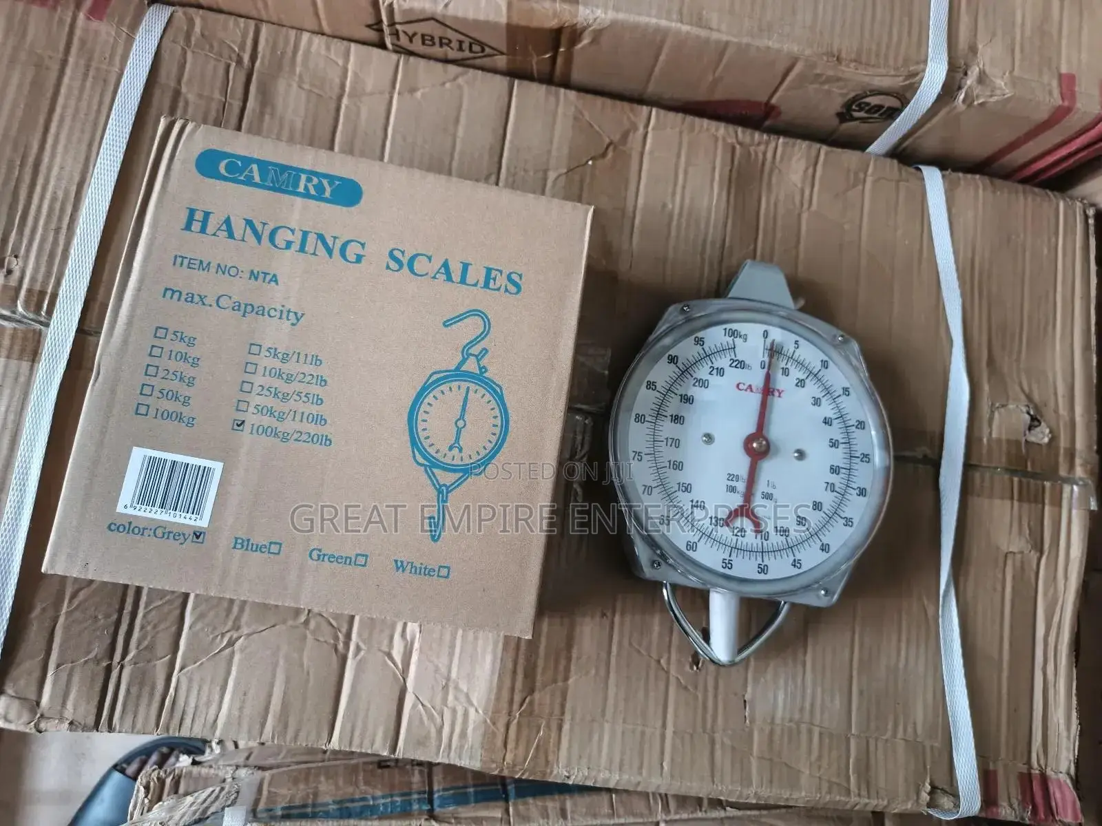 100kg Camry Manual Hanging Scale
