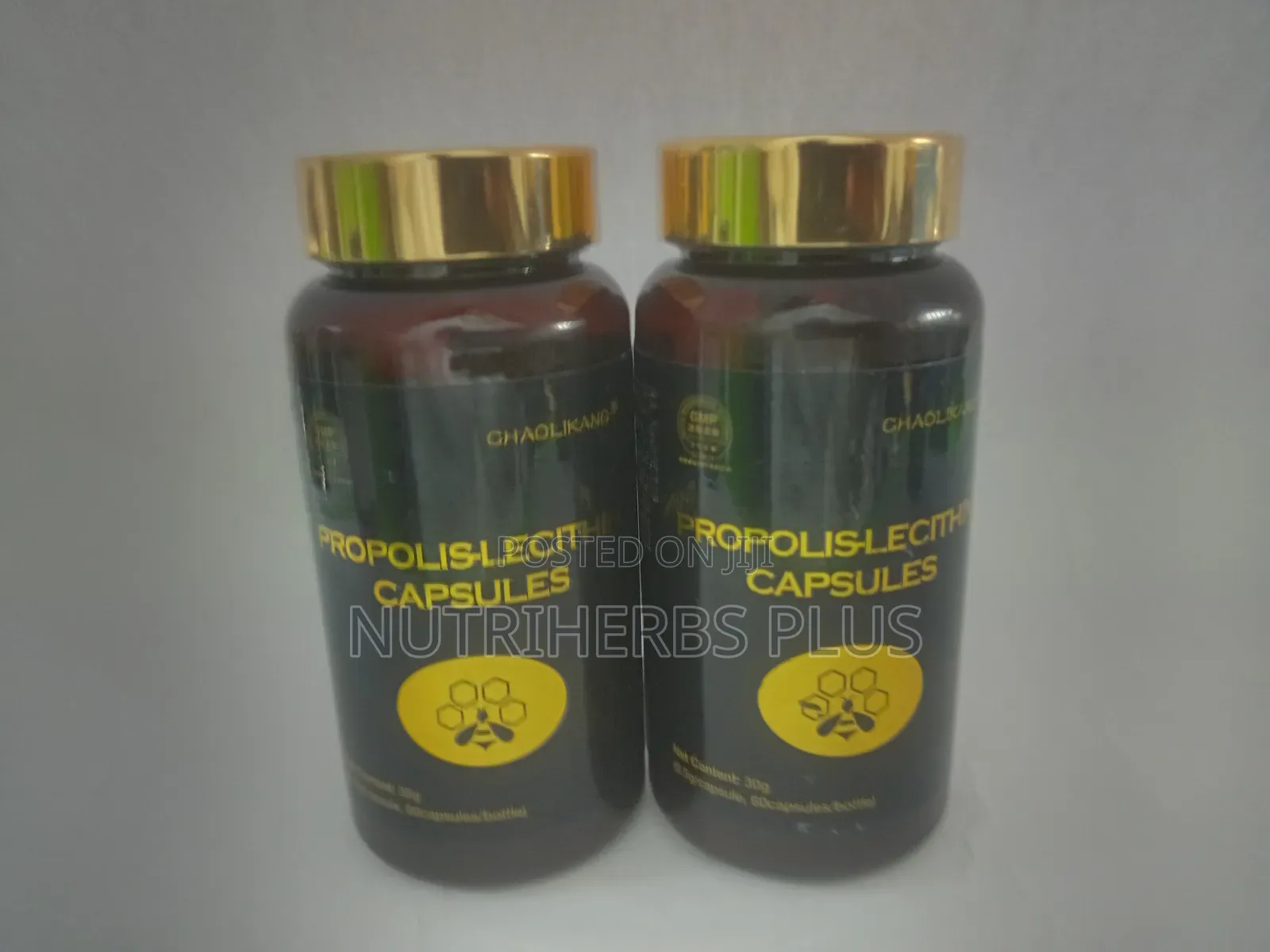 Propolis Lecithin Capsules:Immune System Support
