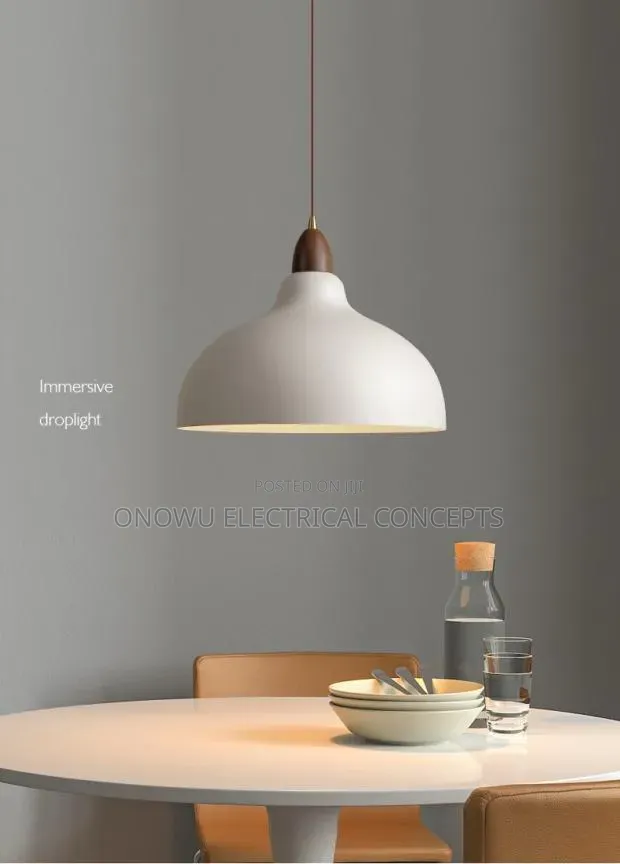Nordic Pendant Lights Modern Hanging Lamps Minimalist Simple Light