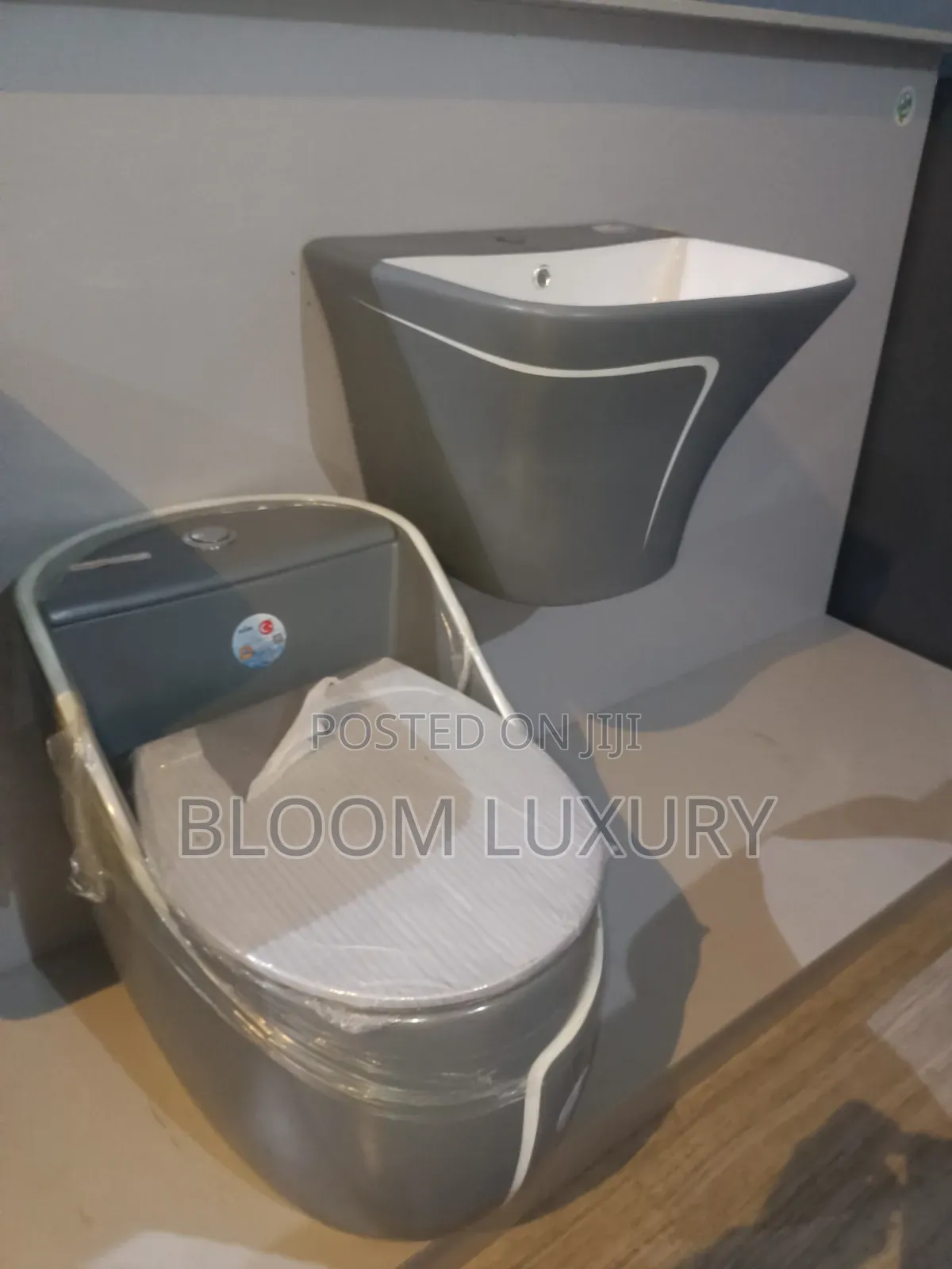 Grey+White Line Water Closet With Wall Hung Basin