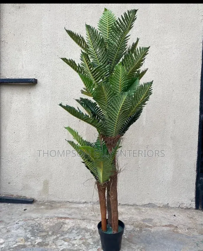 Rube Artificial Plants