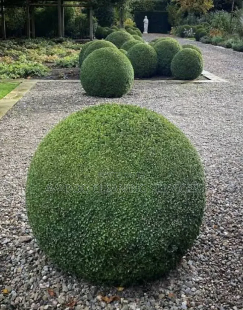 Garden Beautification And Landscape Construction