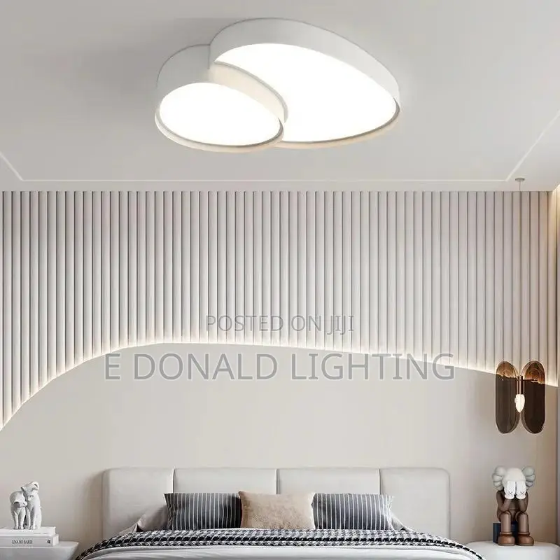 Luxury Ceiling Fittings