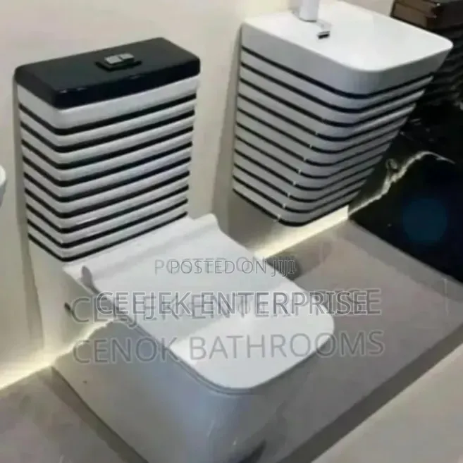 Luxury Black and White Excutive Water Closet