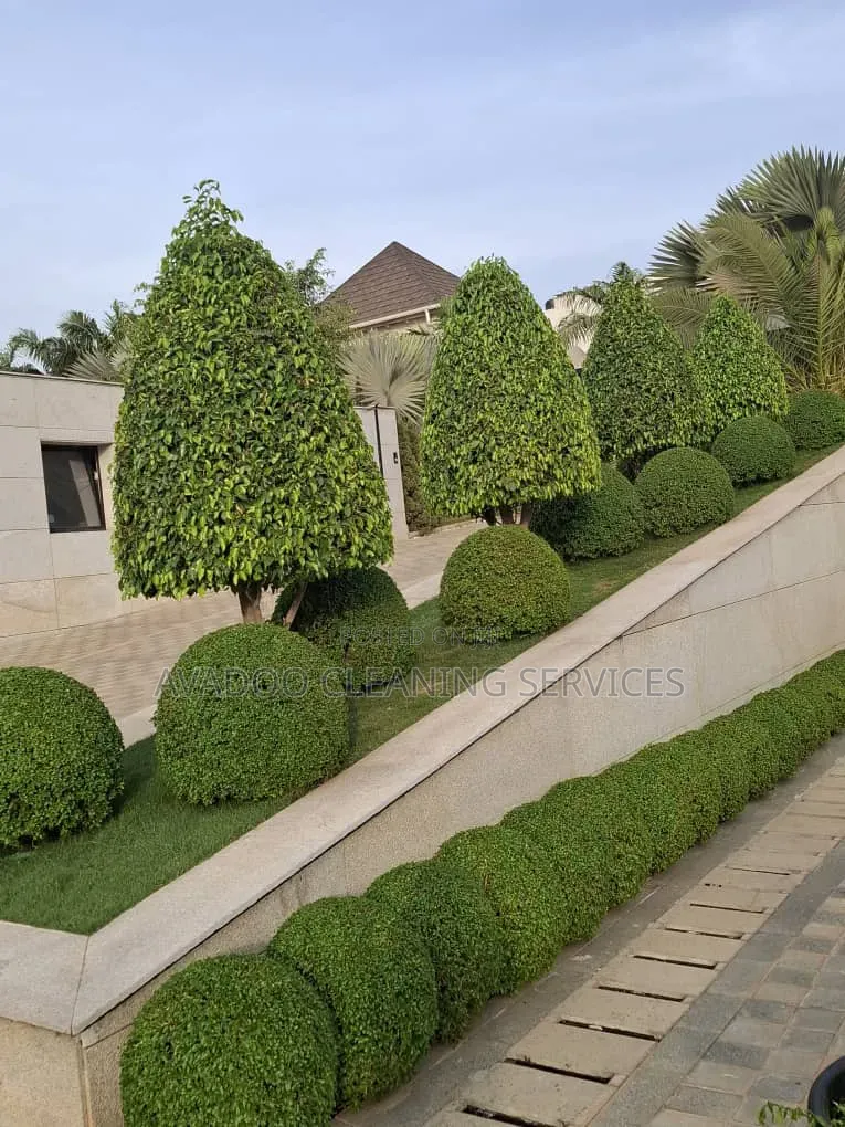 Garden Design, Planting, and Landscape Management