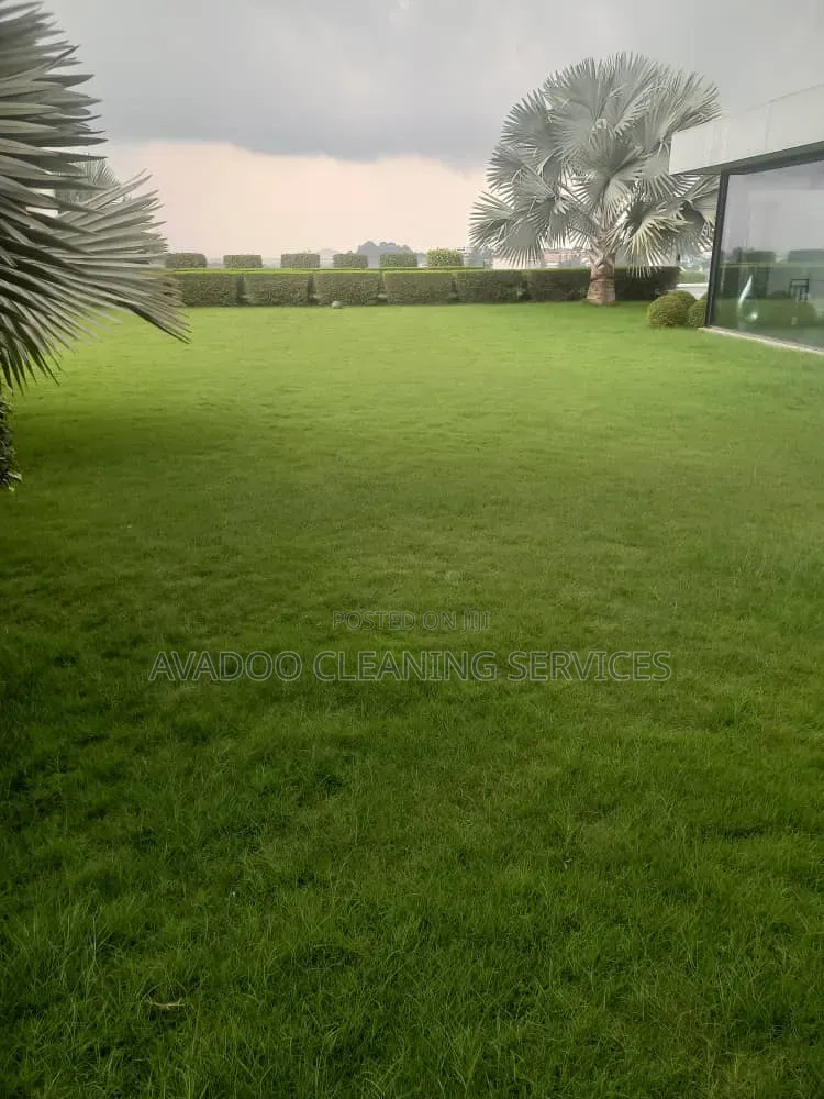 Garden Design, Planting, and Landscape Management