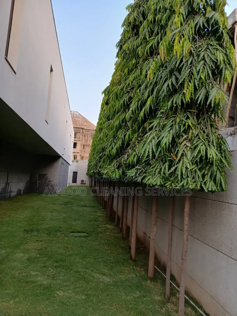 Garden Design, Planting, and Landscape Management