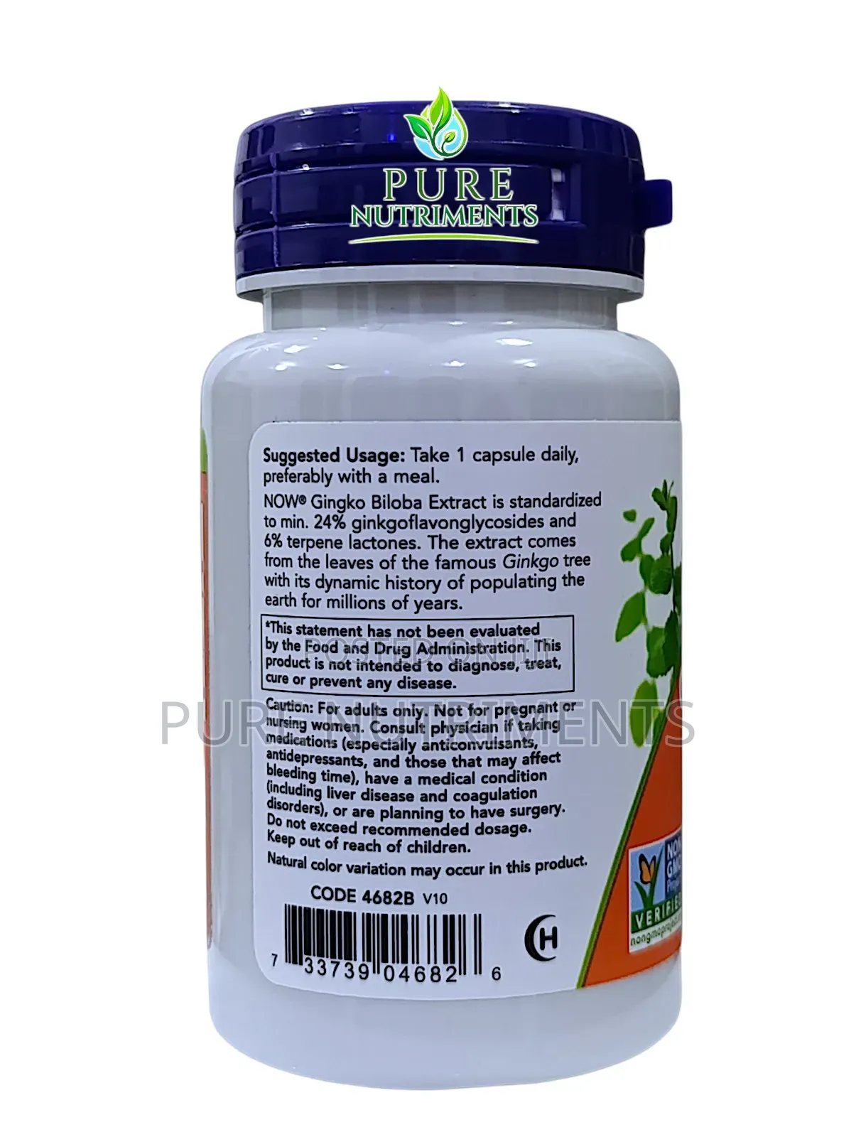 Now Gingko Biloba D/S 120mg - 60 Veggie Caps for Blood Flow Brain