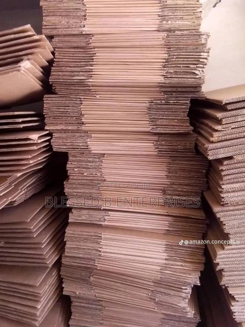 Medium Size Carton