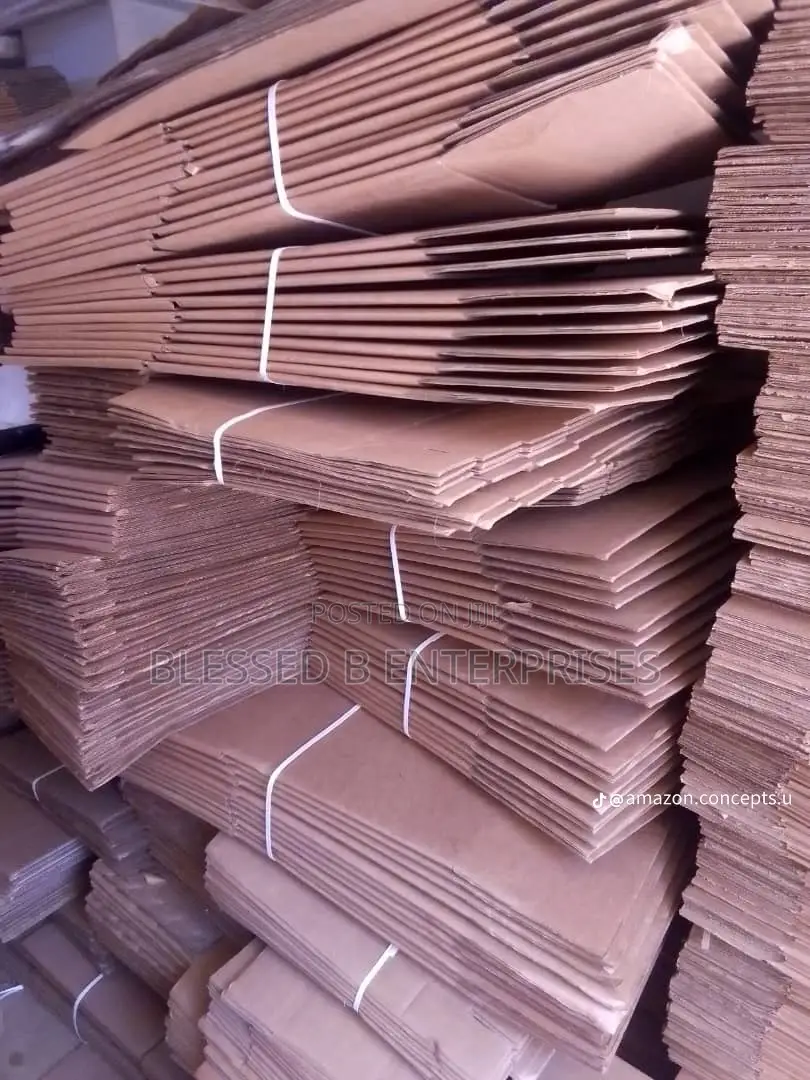 Medium Size Carton