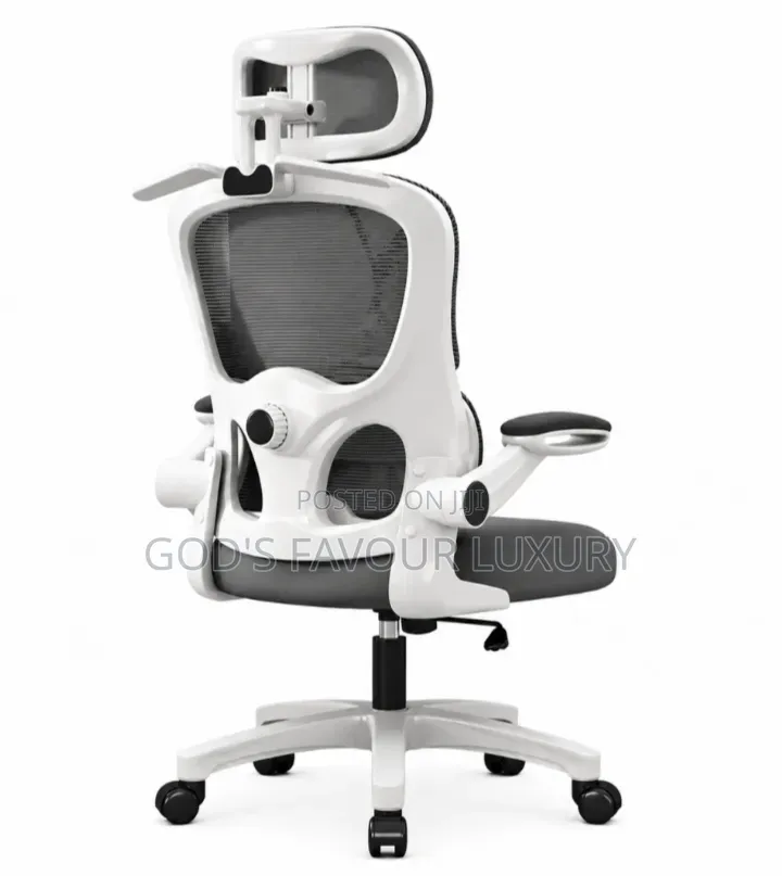 Home/Office Ergonomic Mesh Chair