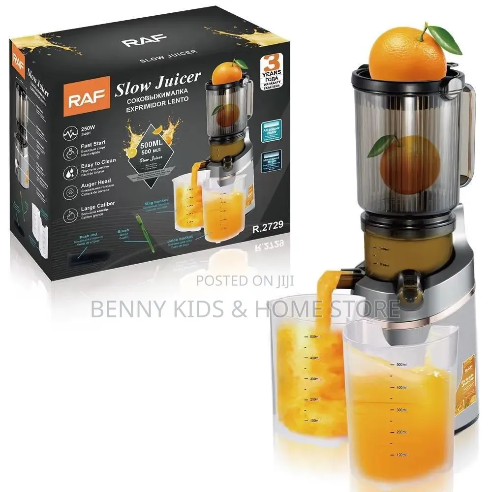 Raf Electric Slow Juicer Machine
