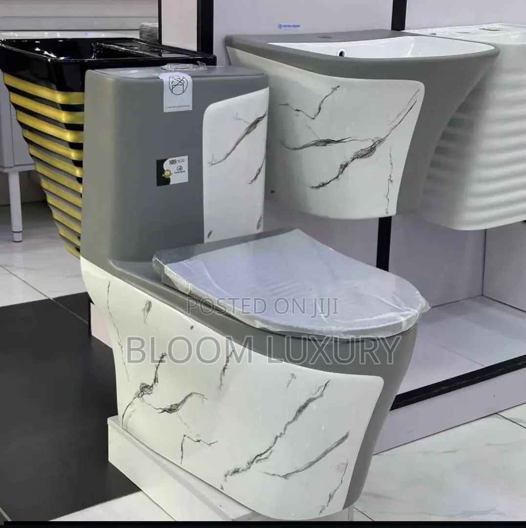Clara White/Grey New Ideal Water Closet  With Wall Hung Basin
