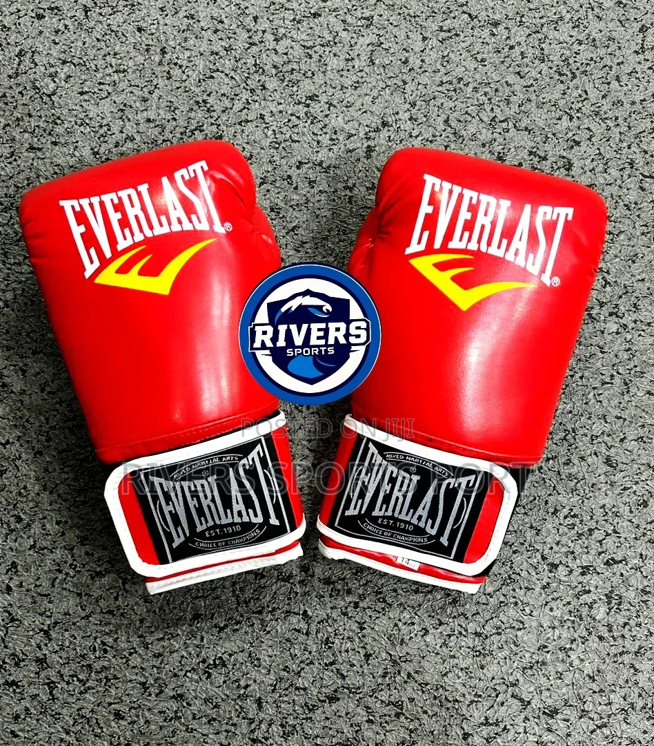 Everlast Deluxe Professional Boxing Glove in Black,Blue,Red