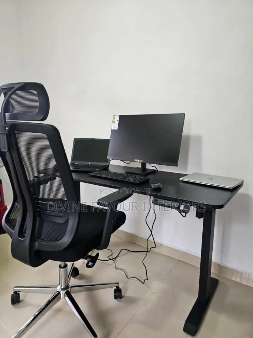 Electric Adjustable Desk With Butterfly Office Chair