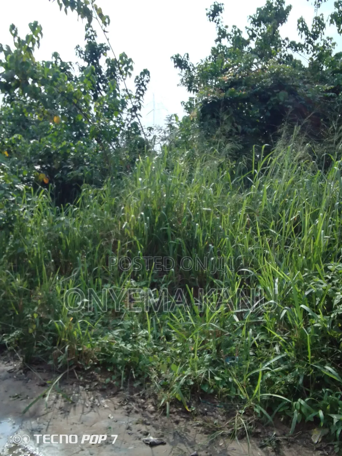 100 Plots at Chinese Coy Neighbourhood