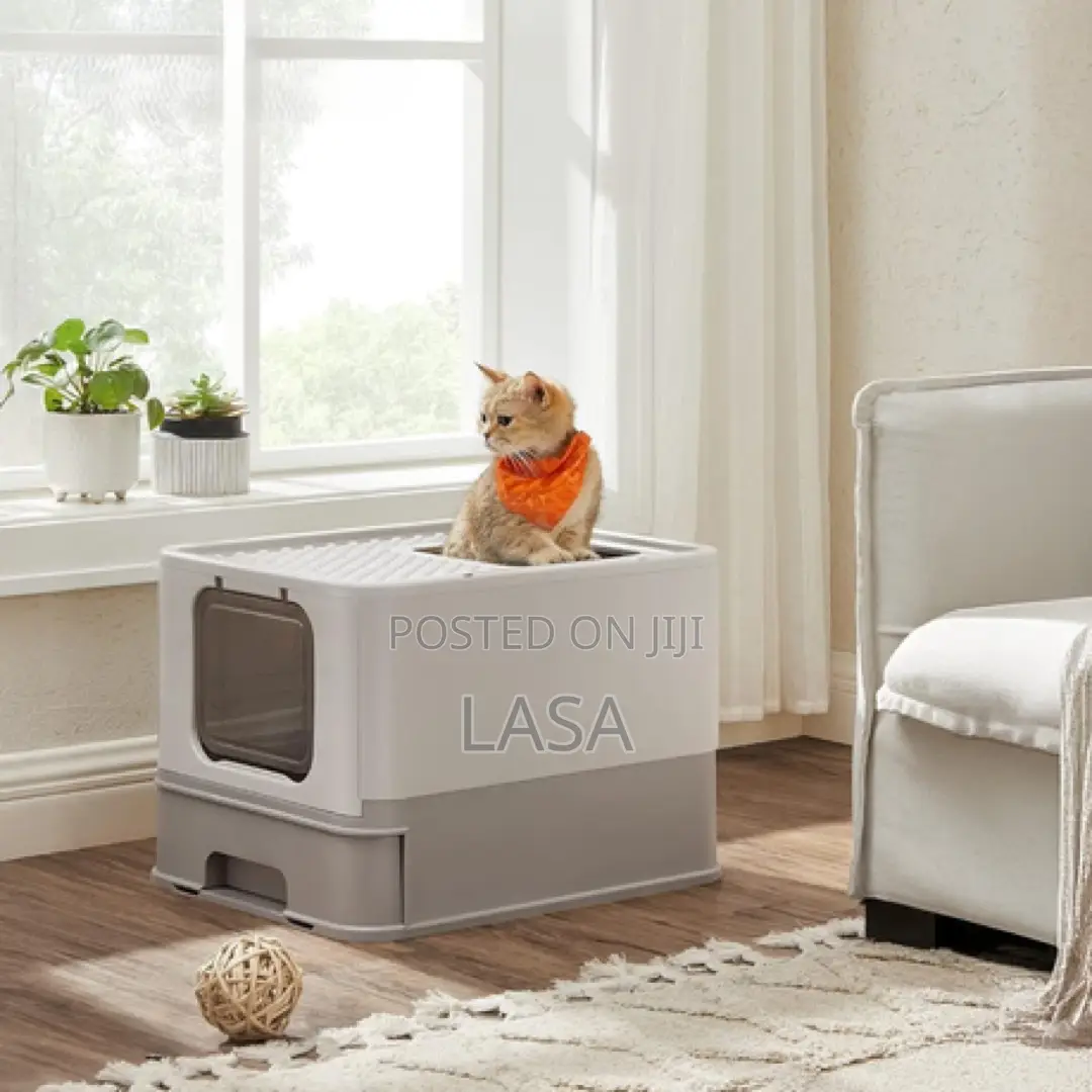 Cat Litter