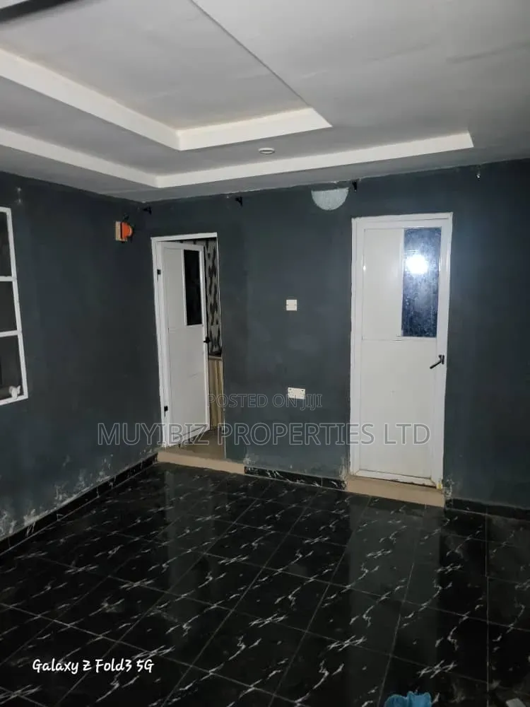 Professional Painting And Screeder