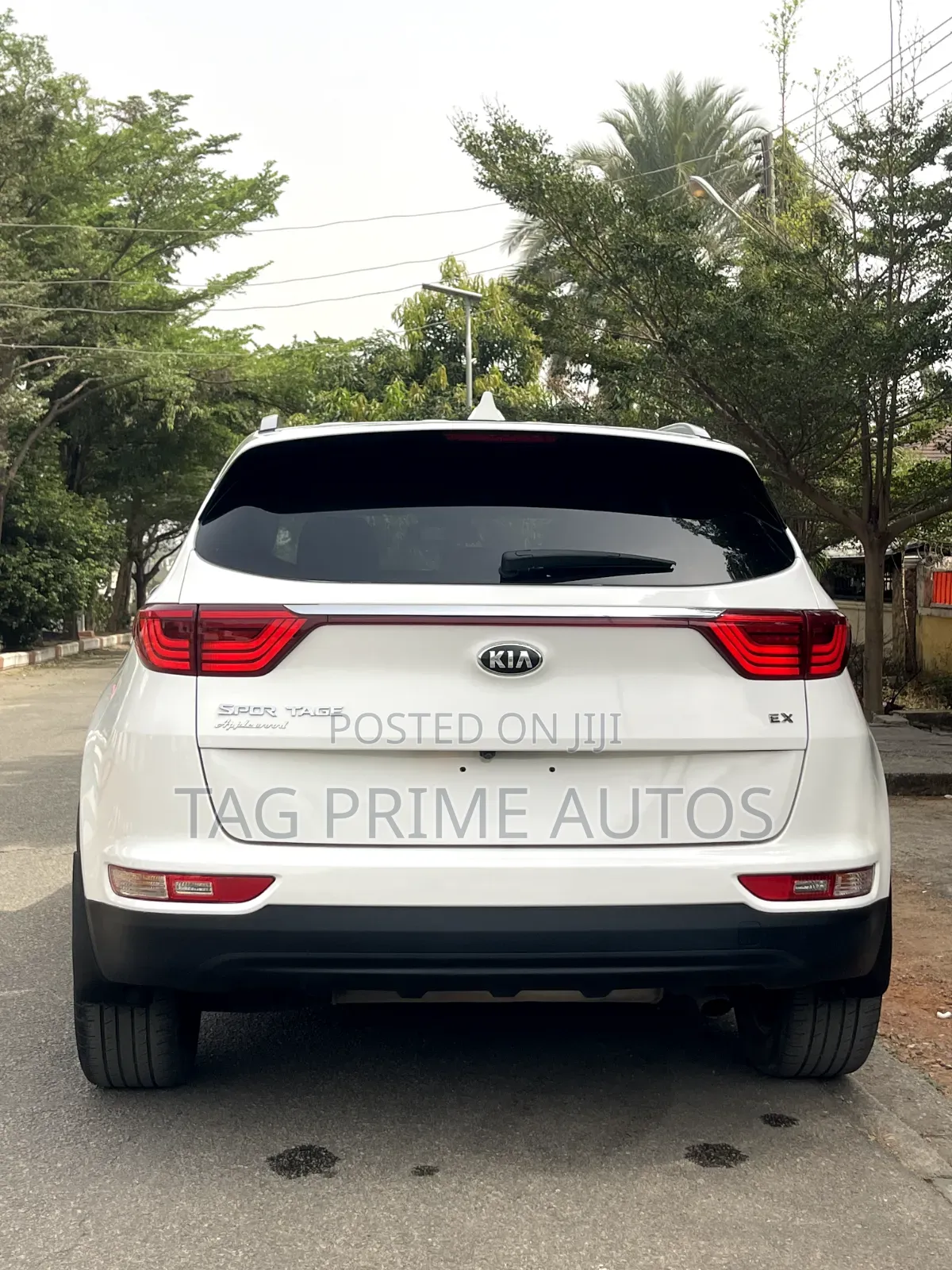Kia Sportage EX 4dr SUV AWD (2.4L 4cyl 6A) 2017 White