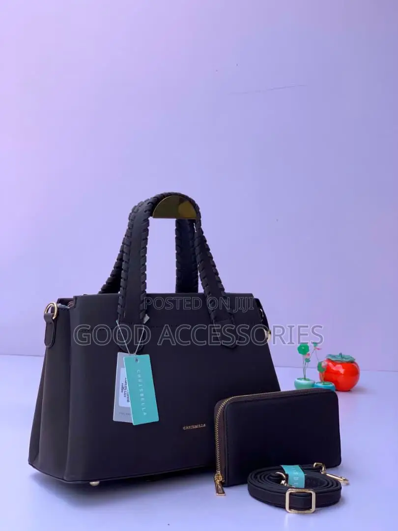 2-in-1 Chrisbella Bag Purse Set