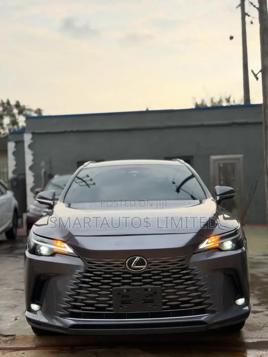 Lexus RX 350h Premium AWD 2023 Gray