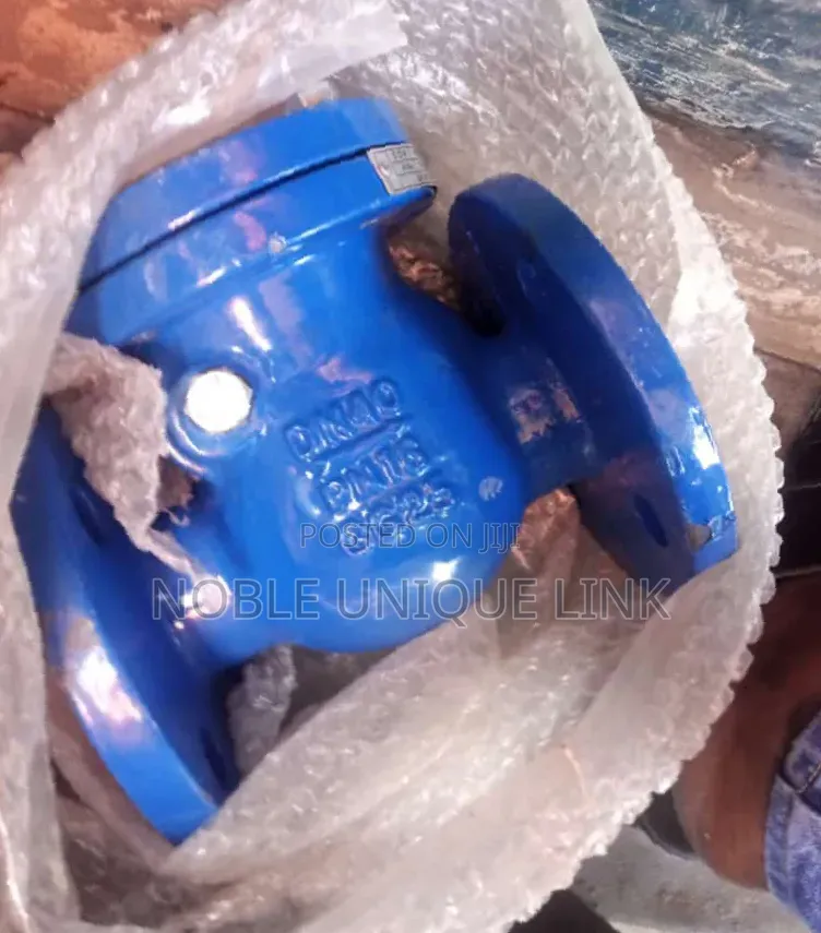 2" Ductile Iron Swing Flange Check Valve