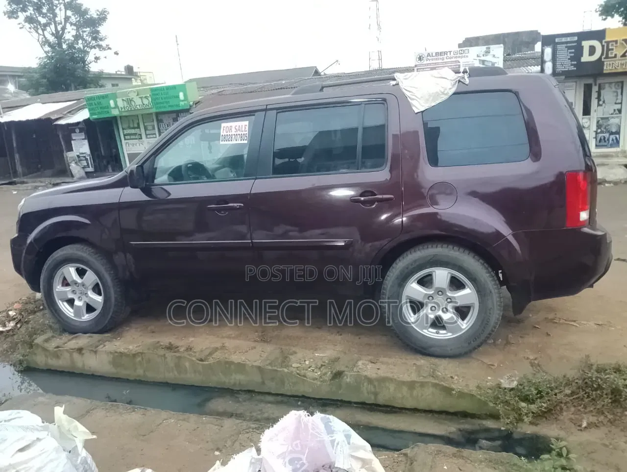 Honda Pilot 2010 Brown
