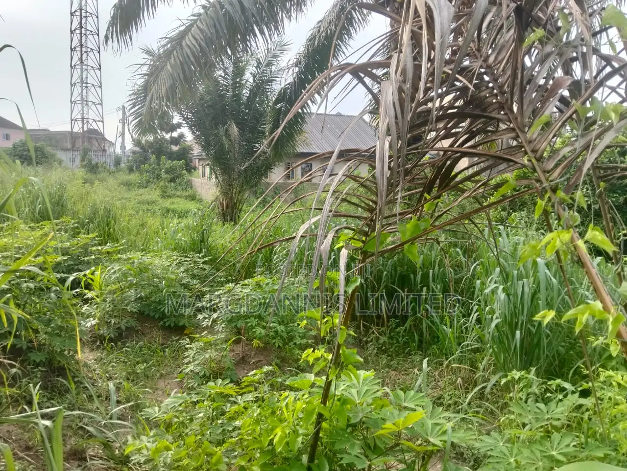 For Sale, a Plot of Land at Inward Oluodo, Ikorodu