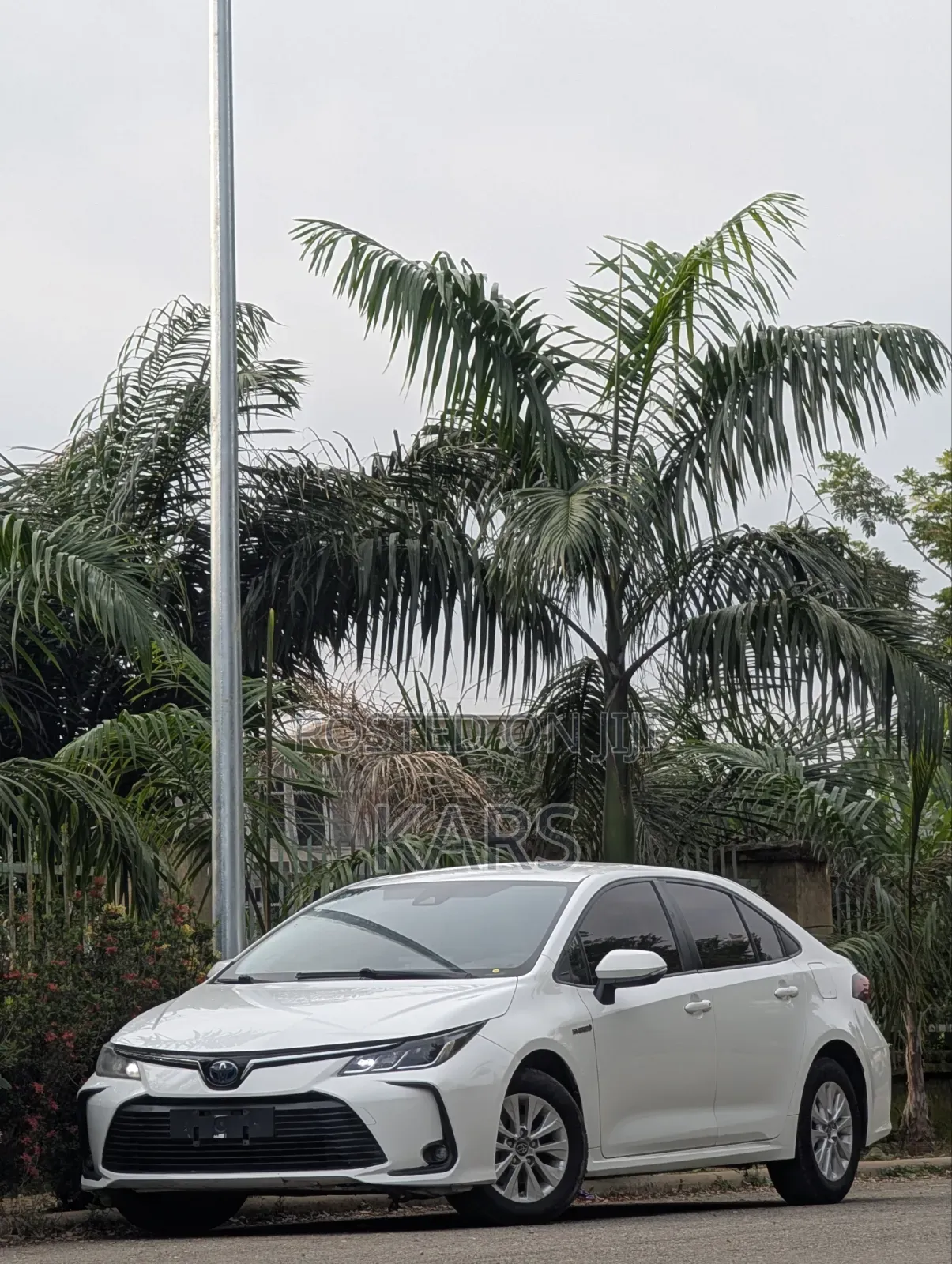 Toyota Corolla 2022 White