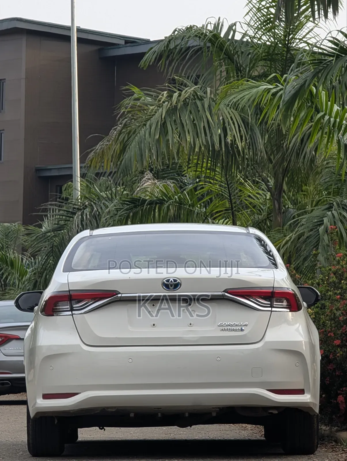 Toyota Corolla 2022 White