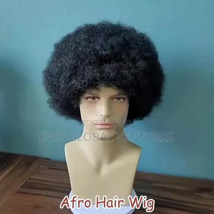 70s Afro Wigs for Men and Women