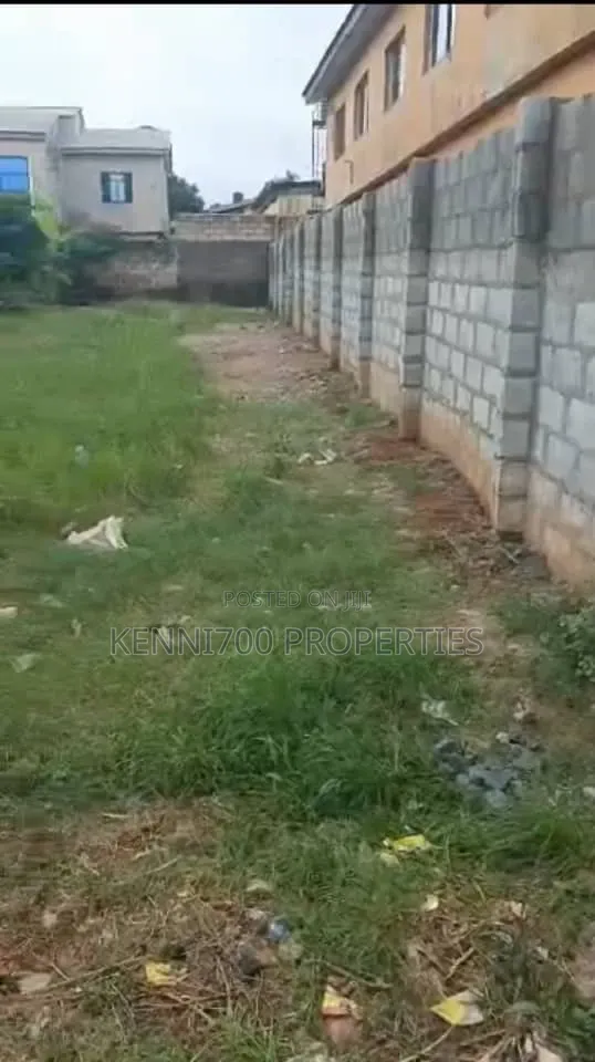 Commercial Half Plot Of Land Along Ekoro Road In Abule Egba