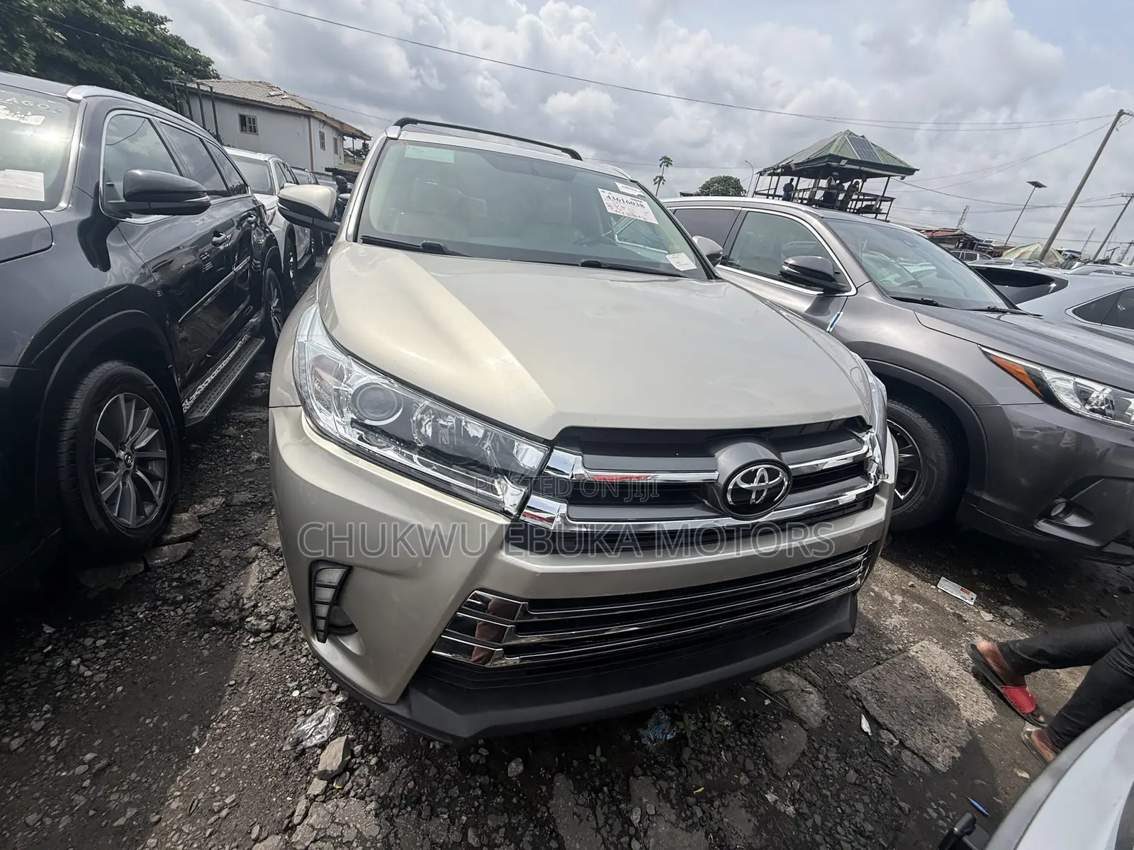 Toyota Highlander XLE 4dr SUV (3.5L 6cyl 6A) 2015 Gold