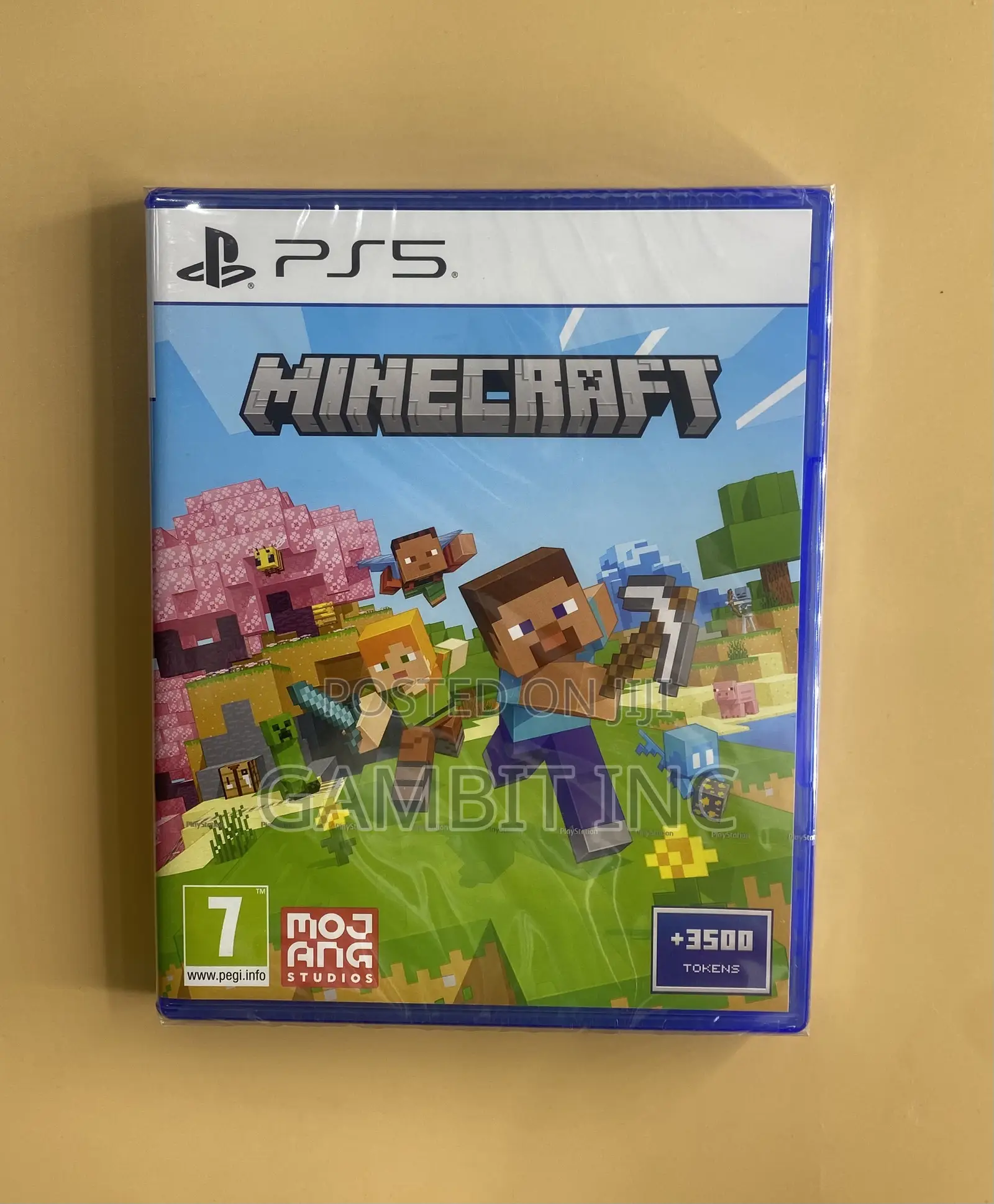 Ps5 Mine Craft