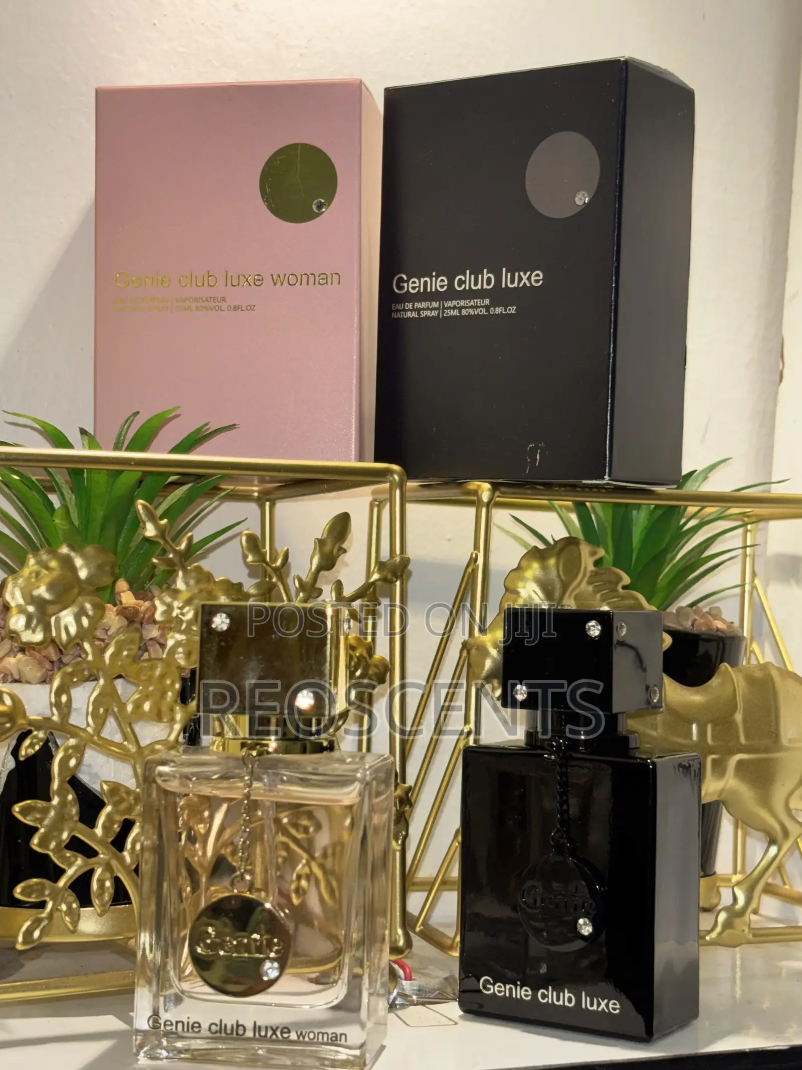 Club De Nuit – Luxury That Commands Attention