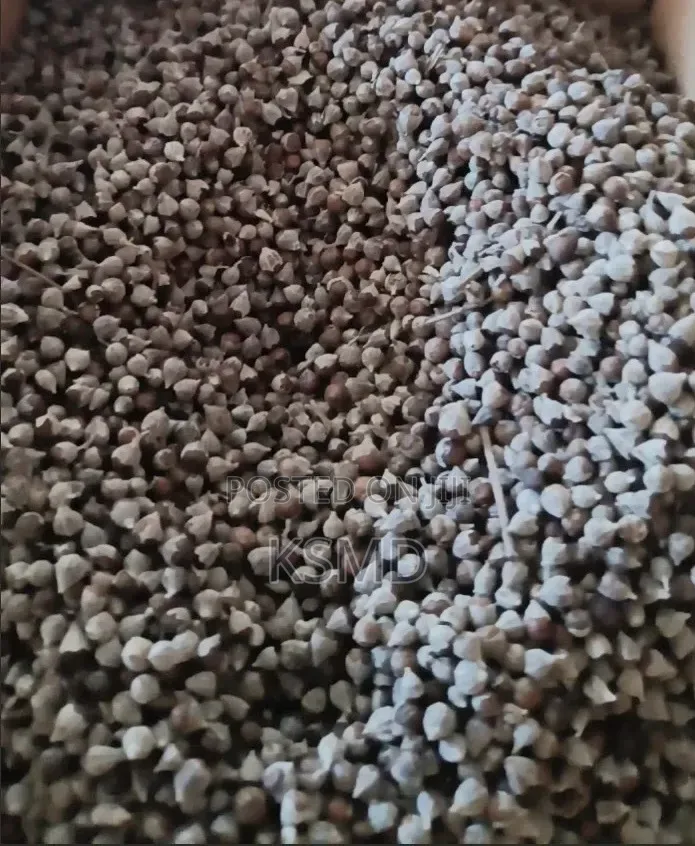 1kg Wild Chaste Tree Berry | Vitex Agnus-Castus