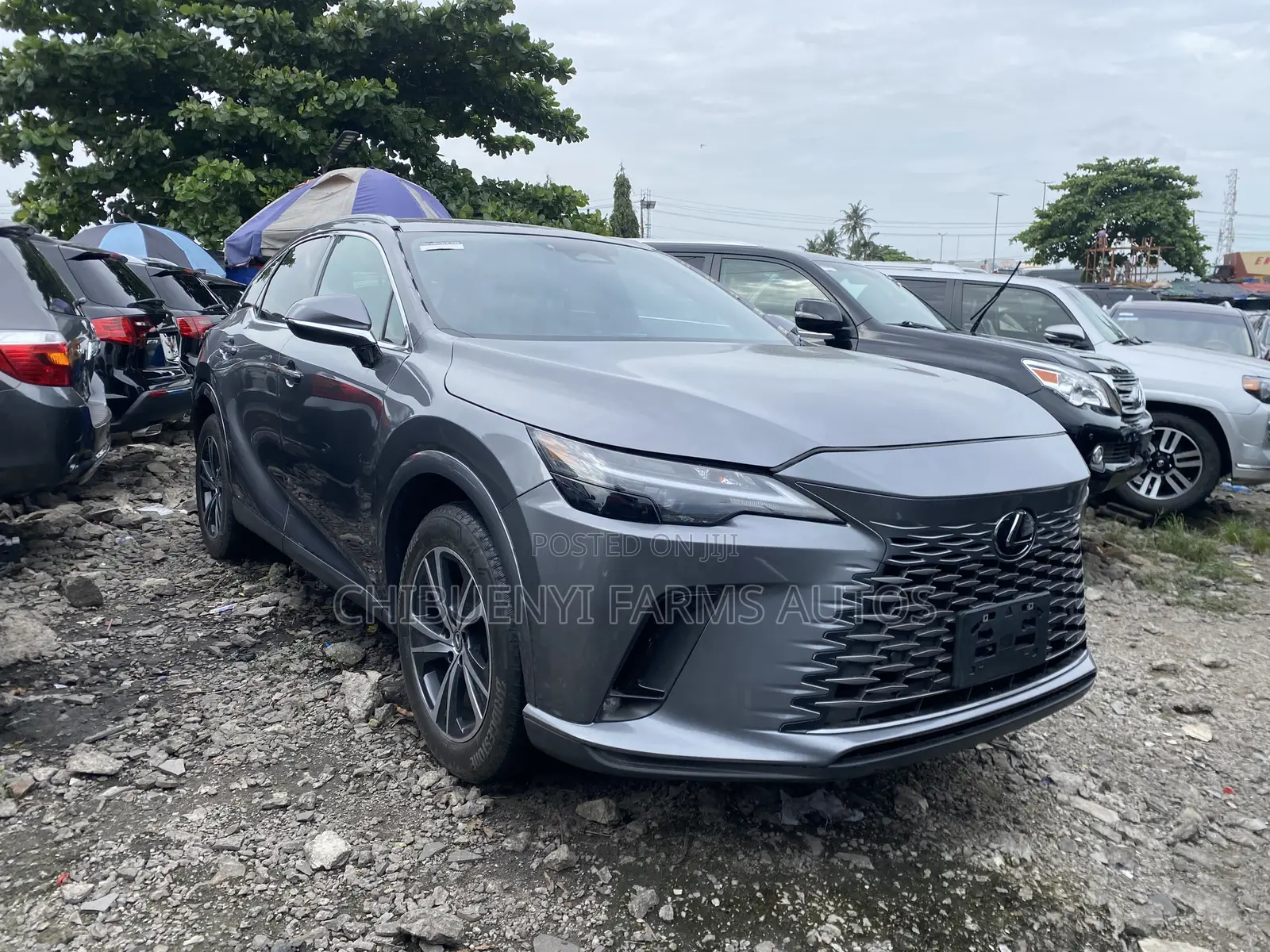 Lexus RX 350 AWD 2024 Gray