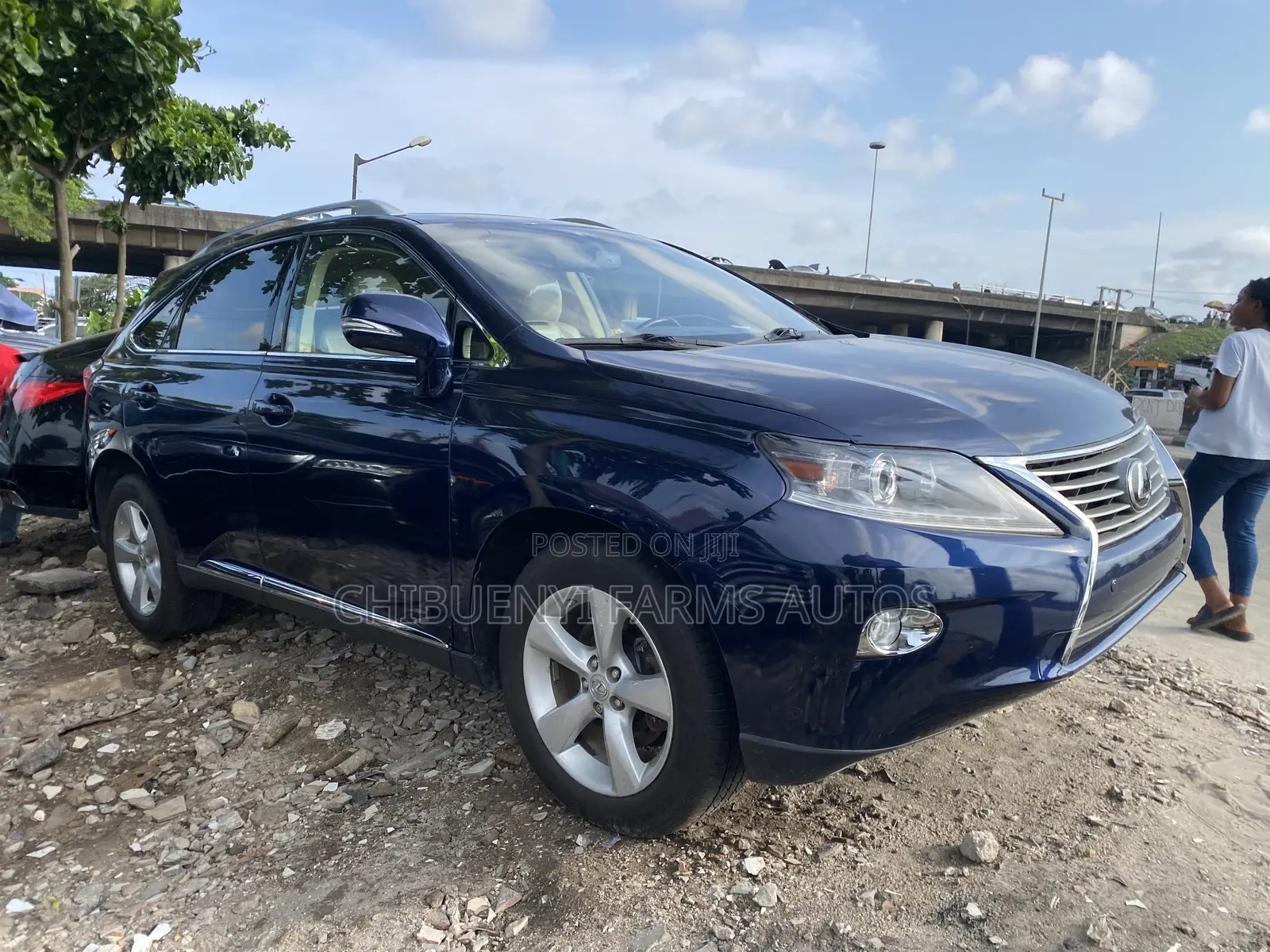 Lexus RX 2012 Blue