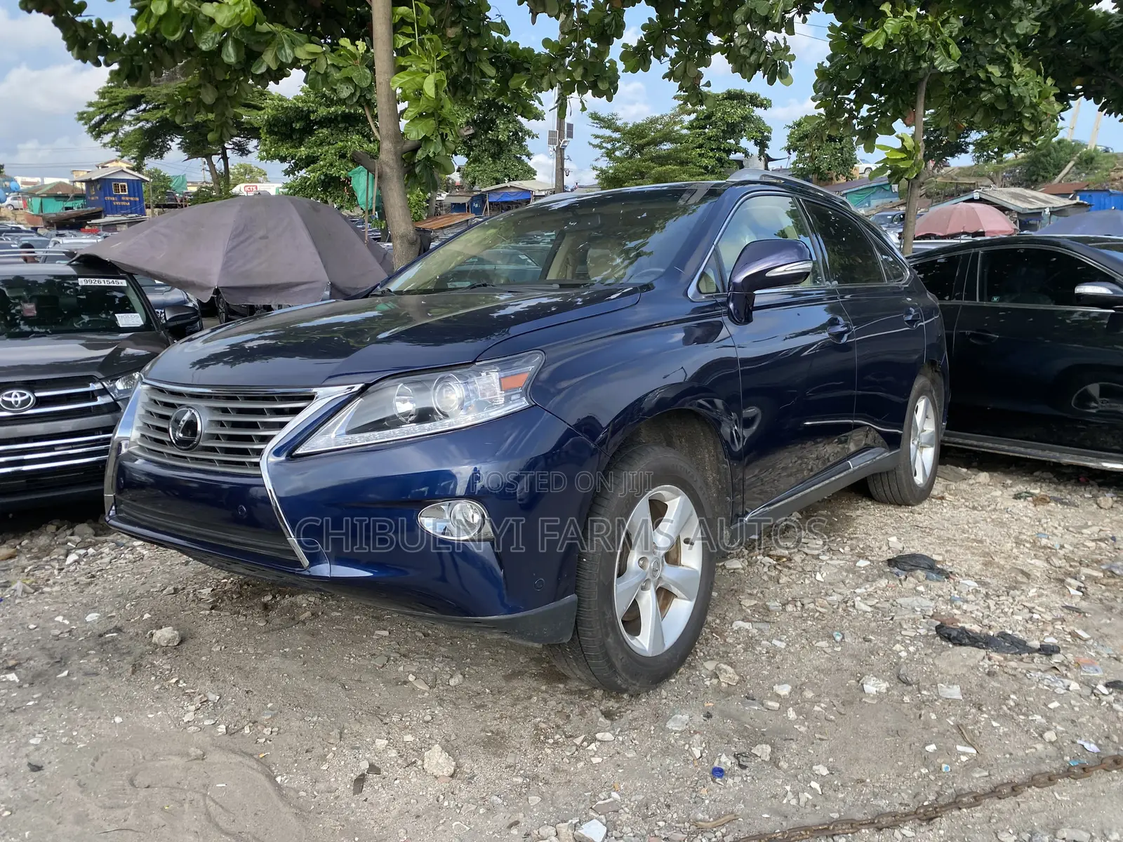 Lexus RX 2012 Blue