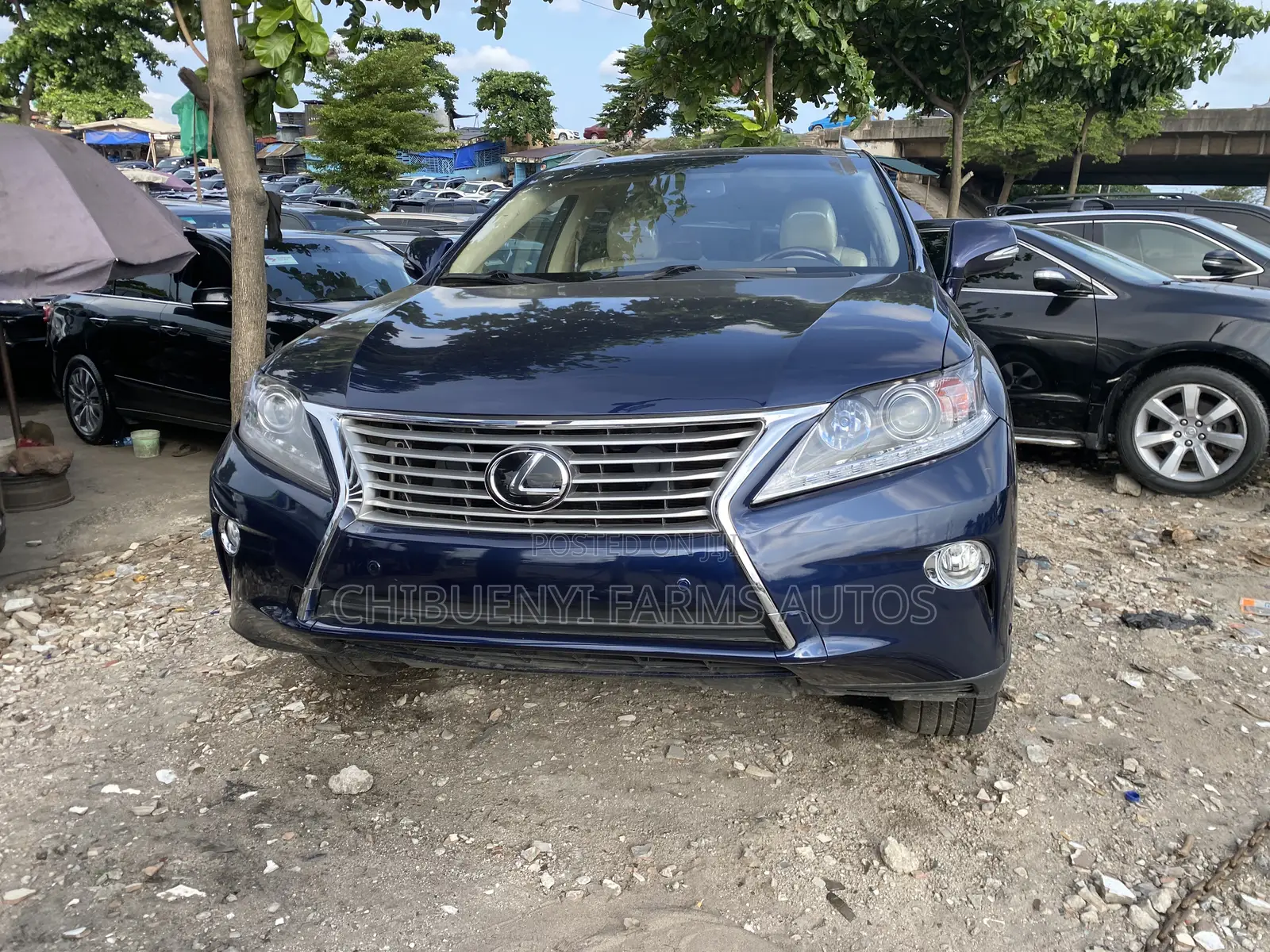 Lexus RX 2012 Blue