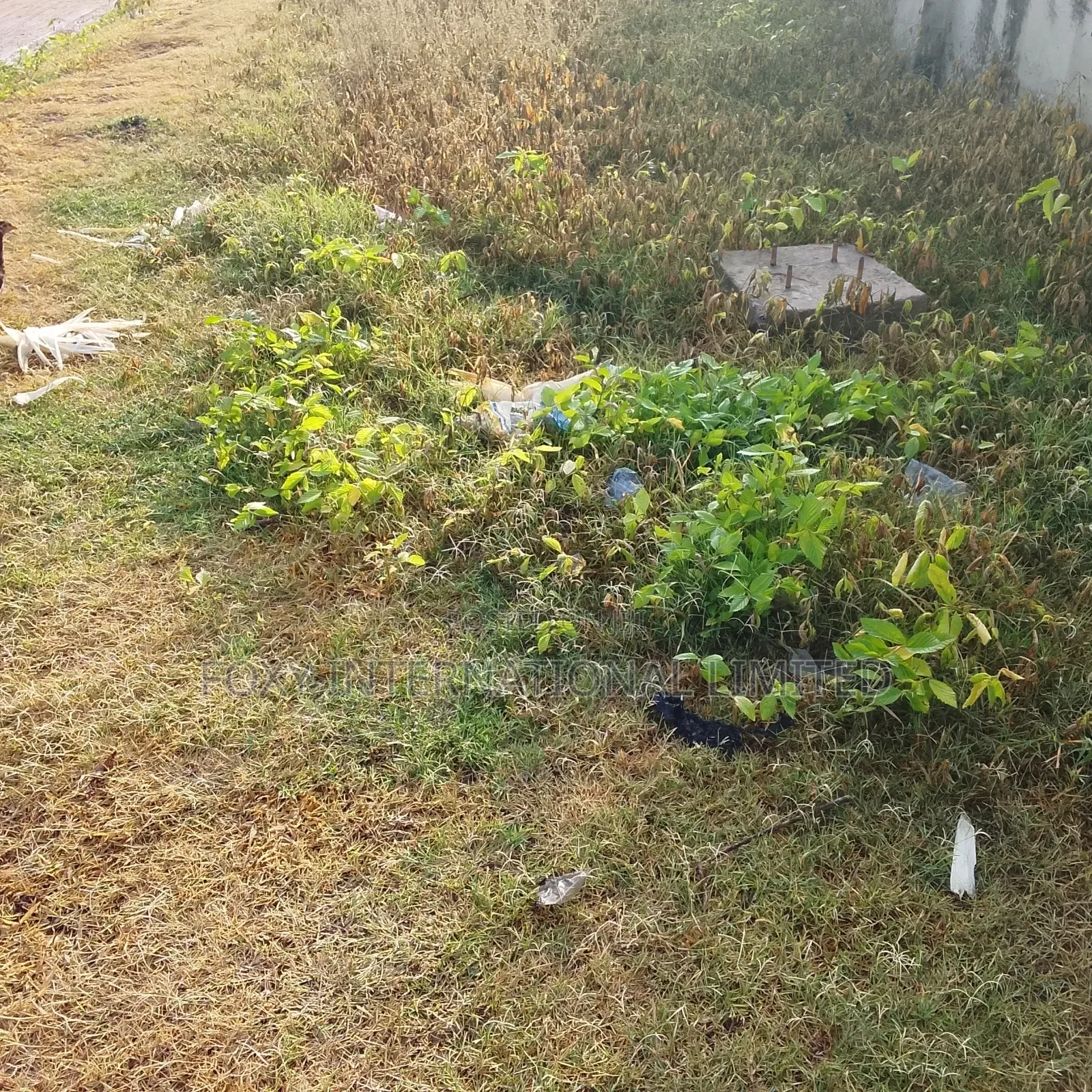 18.8 Hectares Katampe Extension Land