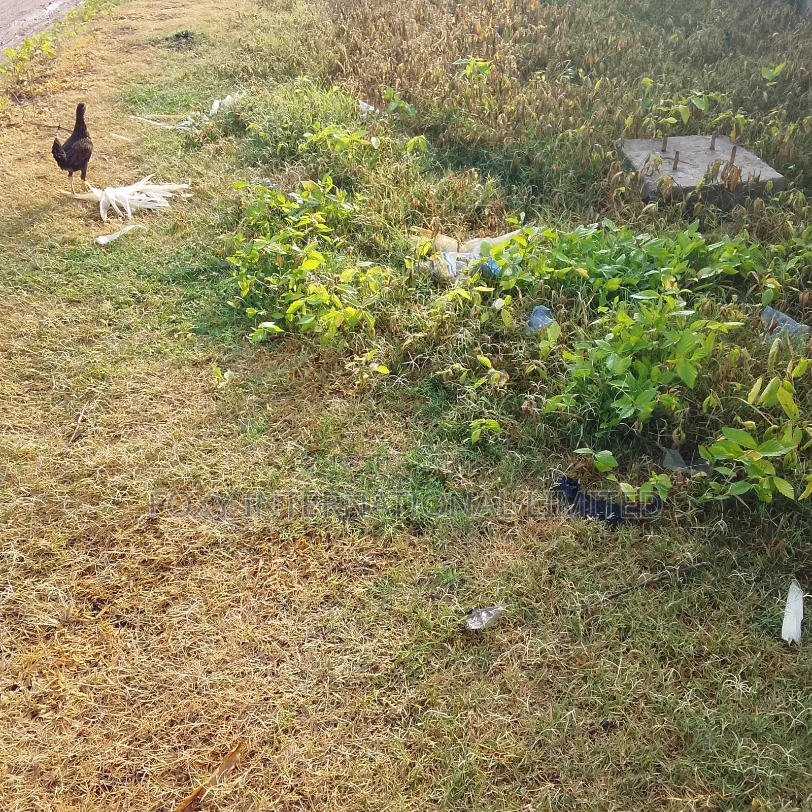 18.8 Hectares Katampe Extension Land
