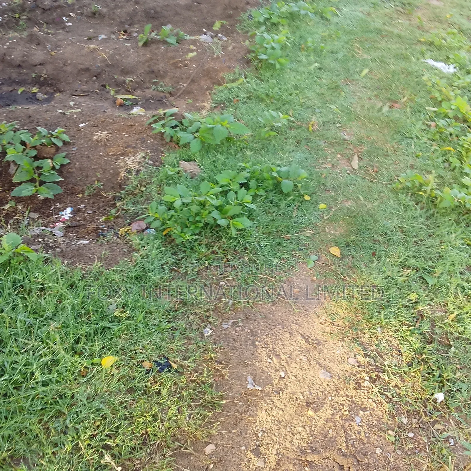 28 Hectares Land at Maitama2