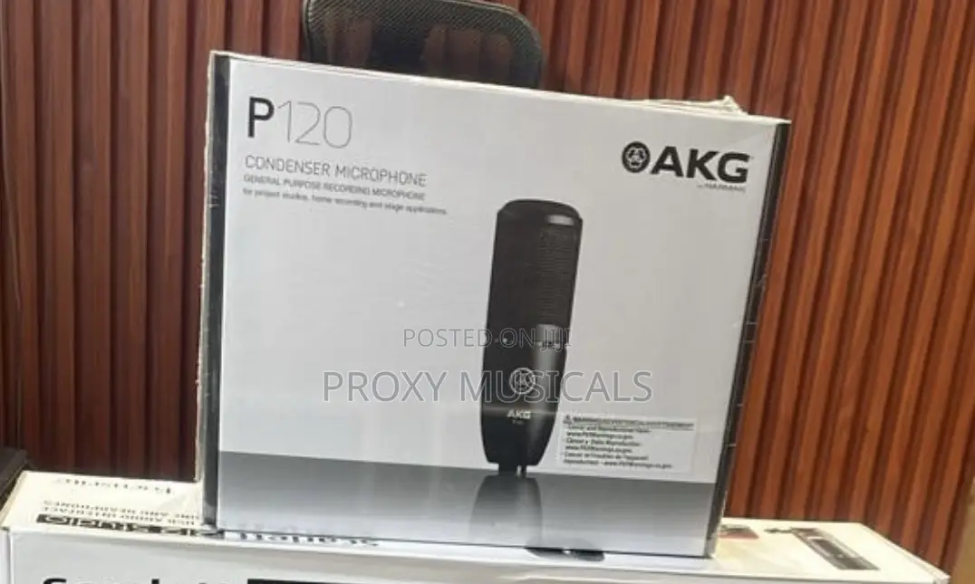 Akg P120 Studio Condenser Microphone General Purpose Recording Mic Akg
